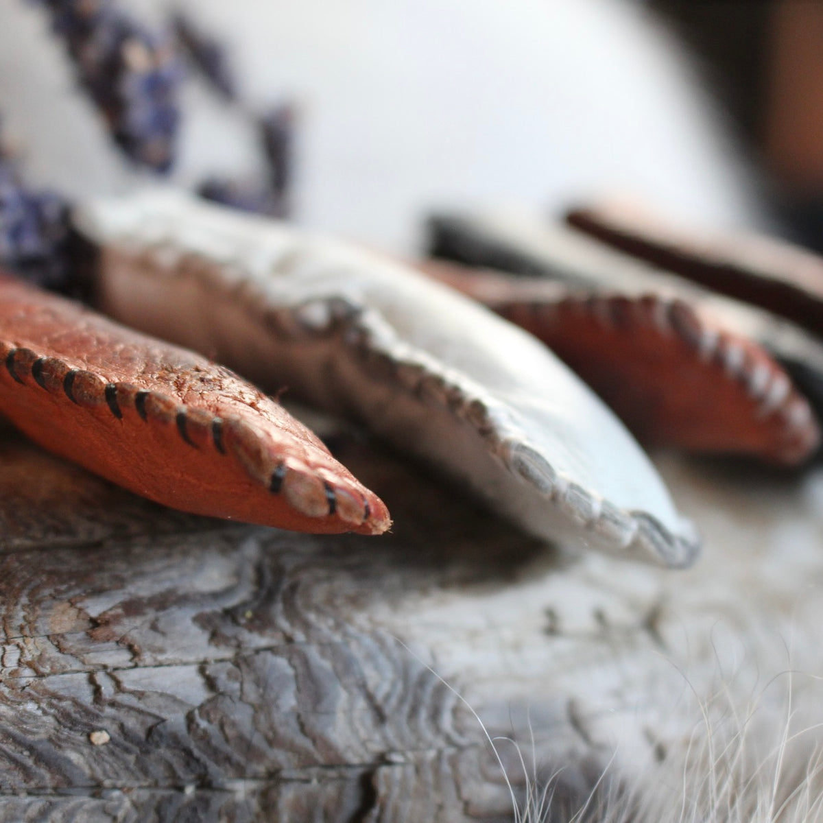 The Traditional Art of the Sámi